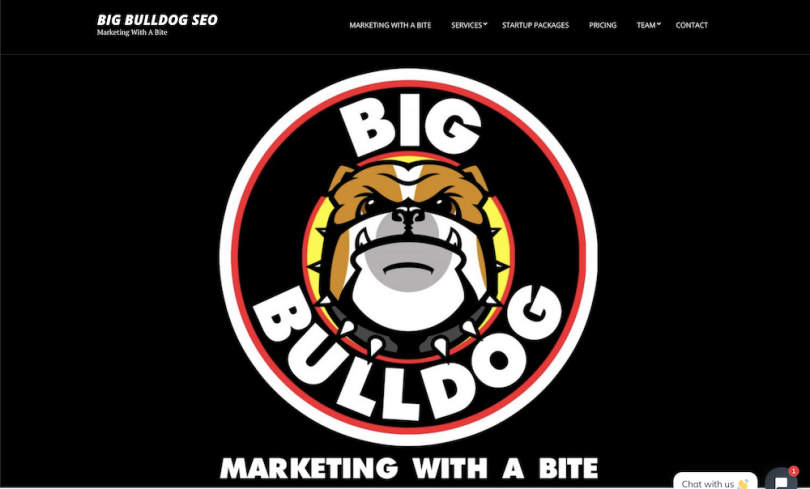 Big Bulldog SEO Las Vegas SEO company