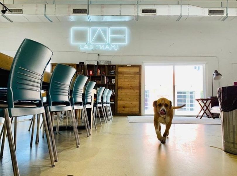 Coworks Raleigh startups