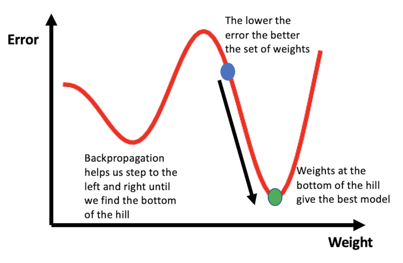 A graphic depicting the process of backpropogation