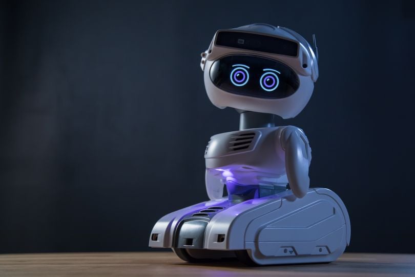 healthcare companion robot