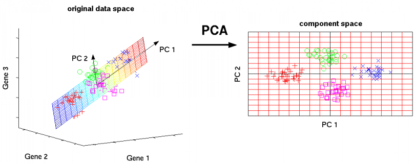 Principal Component Analysis