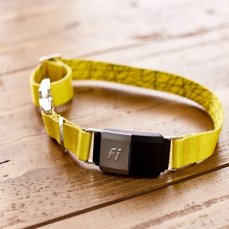 Fi smart shop dog collar reddit