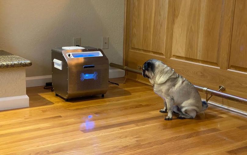 companion pro pug