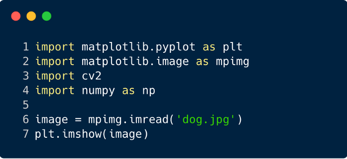 convolutional neural network pytorch visualization numpy