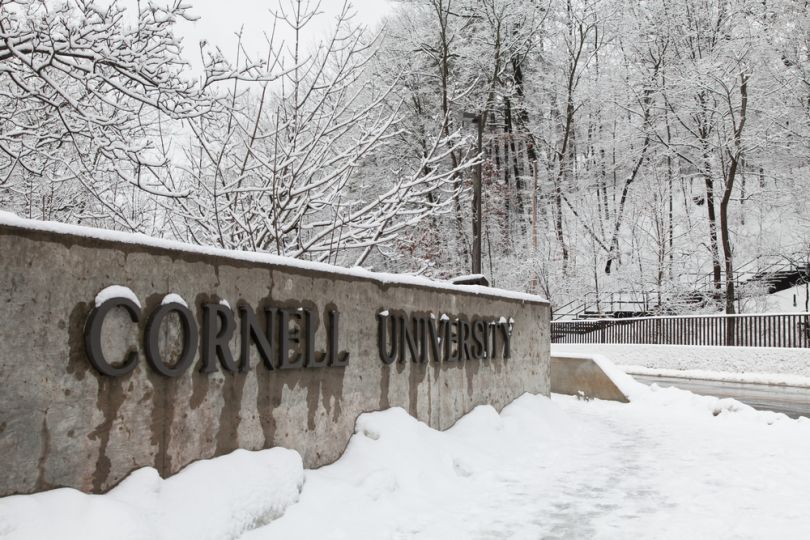 cornell university design thinking courses