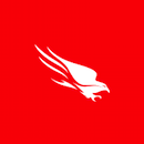 crowdstrike