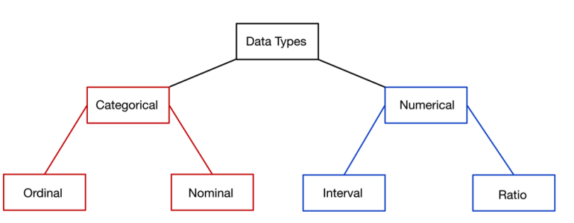 Statistics in Math: Definition, Types, and Importance