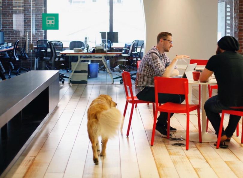 galvanize python data science courses