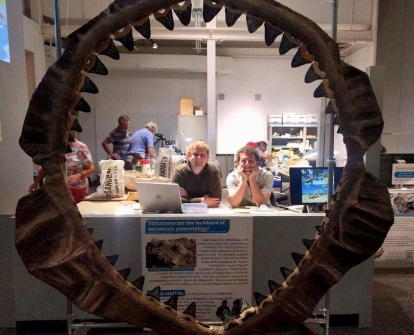 megalodon jaw 3d printing education applications examples