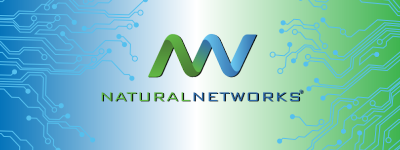 natural networks it companies san diego