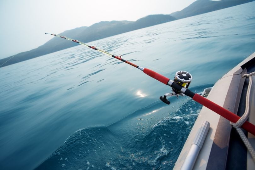 IoT-sustainable-fishing-Japan