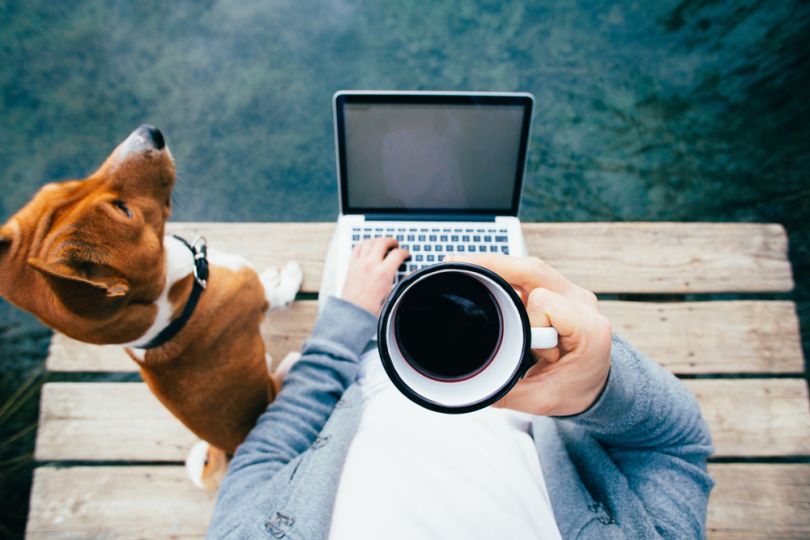 dog coffee remote work