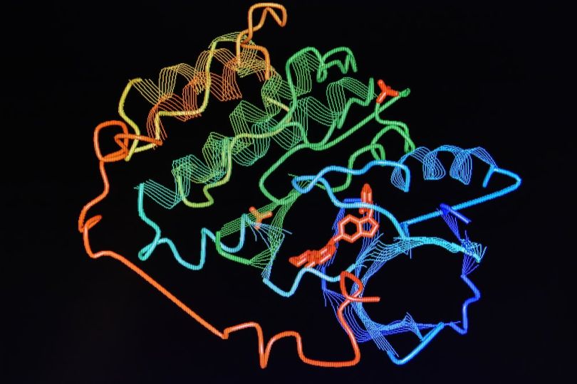 AI-protein-folding