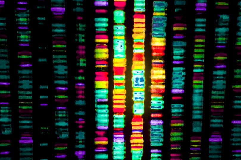 blockchain-genomic-sequencing