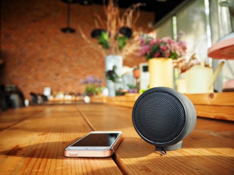 Blox speaker best sale