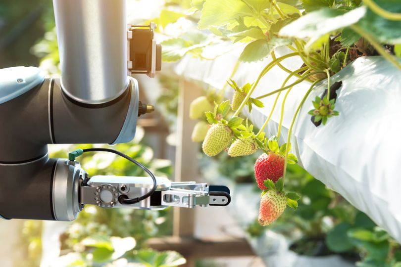 Colorado Agtech Robotic Farm