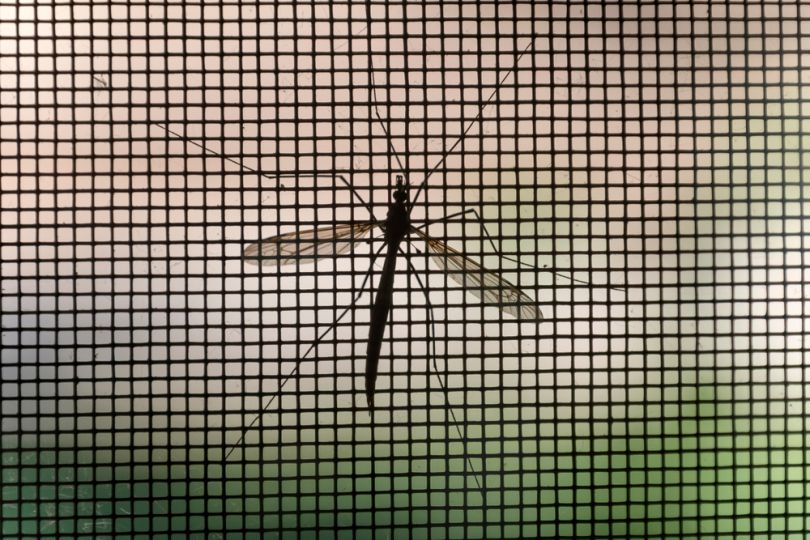 big-data-malaria