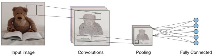 understanding convolutional neural networks through visualizations pytorch blackdog