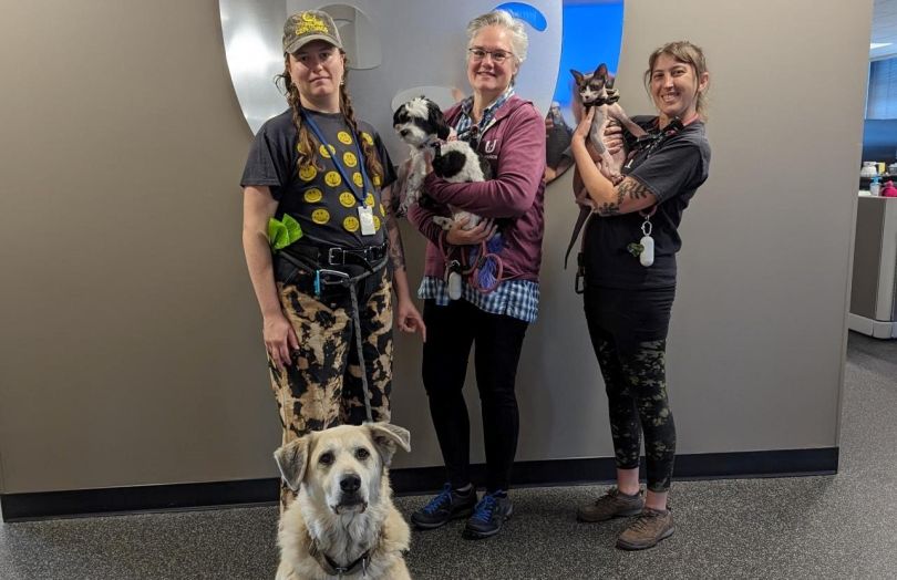 three people posing for a picture. The person on the left wears a hands-free leash and a large dog sits in front of them. The other two people are holding small dogs and smiling.