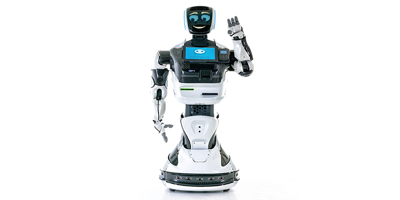 Humanoid robots sale 2019