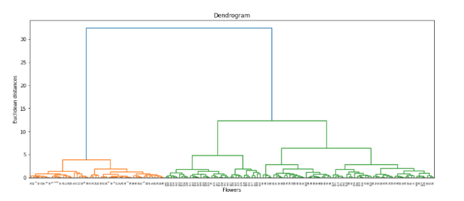 Dendogram image