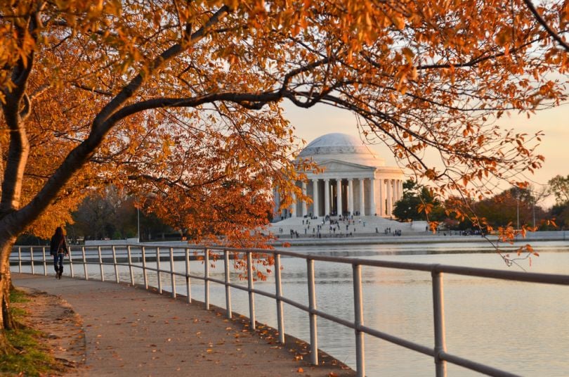 dc funding roundup november