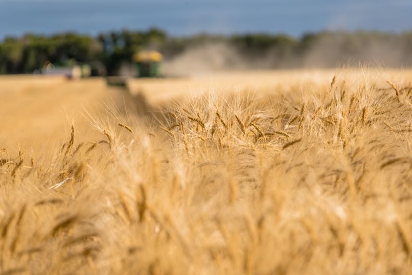 A field with John Deere equipment in the background