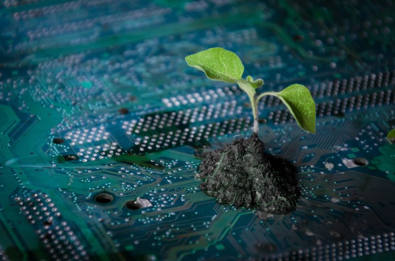 a small plant grows out of a circuit board