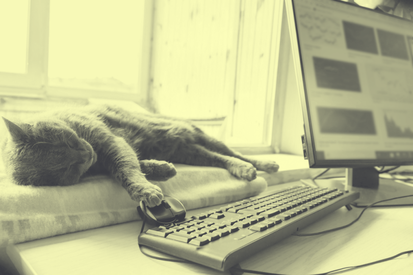 remote-work-struggles
