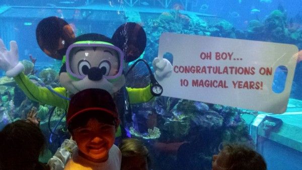 SurveyGizmo - Mickey Sign