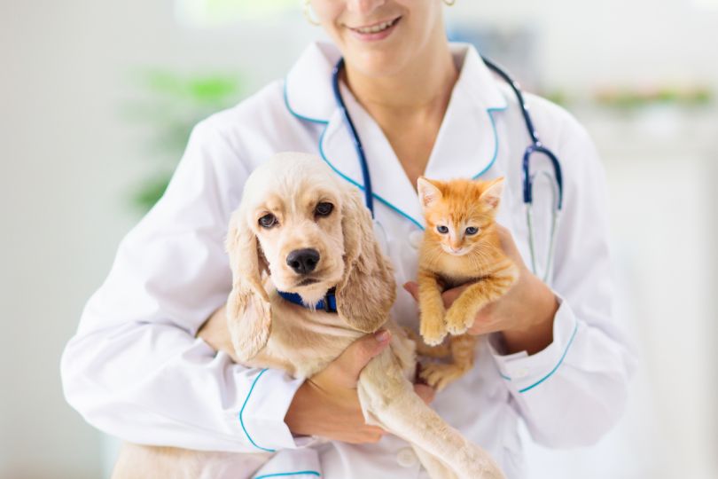 Austin-based TeleVet Raises $2 Million in Seed Funding