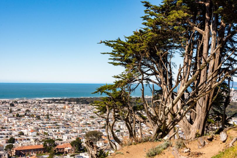 A view of the Richmond District in San Francisco.