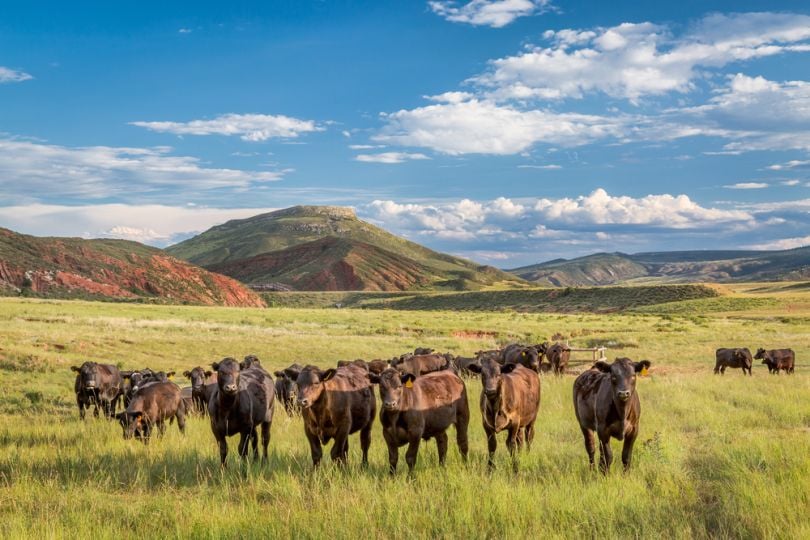 Colorado Agtech Front Range
