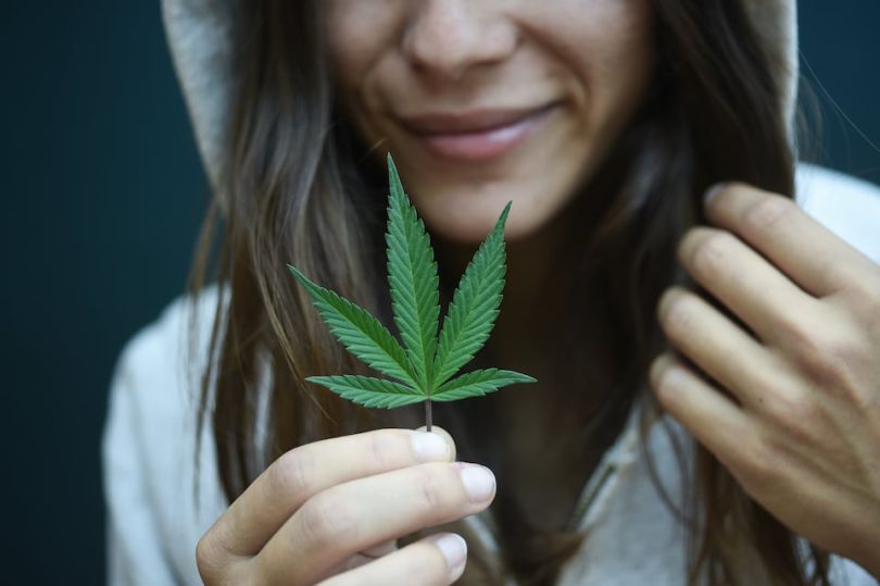 Vangst seed round funding Colorado