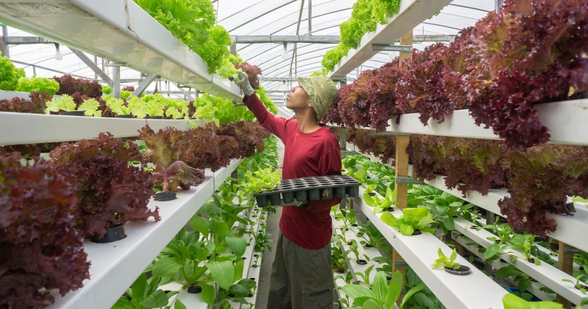 5-top-vertical-farming-companies-built-in