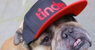 Online dating's big IPO includes Tinder, OKCupid and Match.com