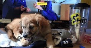 4 Austin companies we want to work for right now (and they're hiring!)